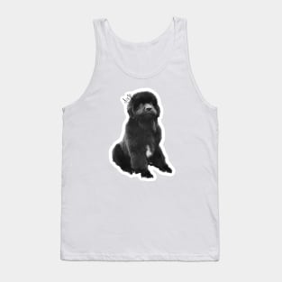 Duke The Newfie "Derp" Tank Top